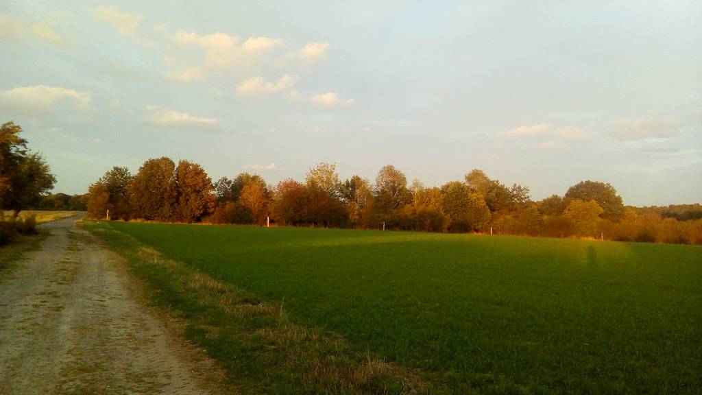 BUND Windbruchhecke Walsrode
